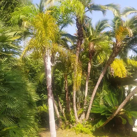 Pergolato Apartament