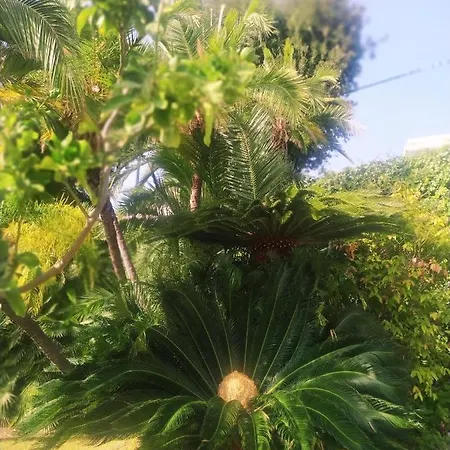 Apartament Pergolato *