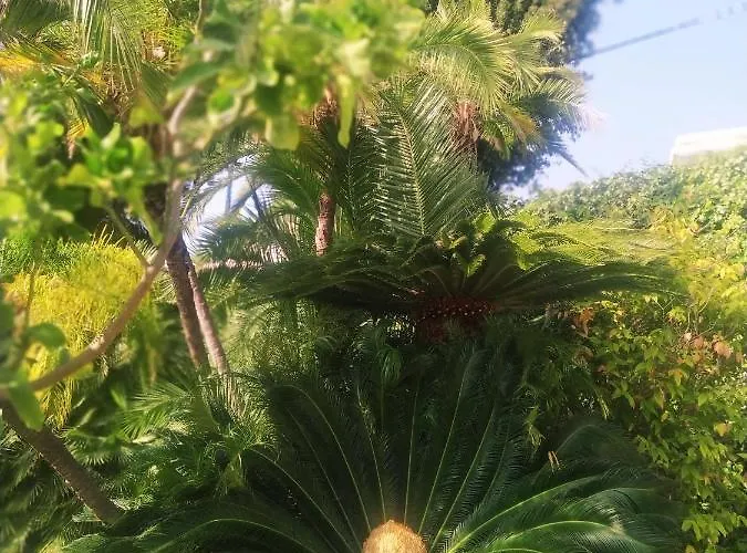 Apartmán Pergolato *